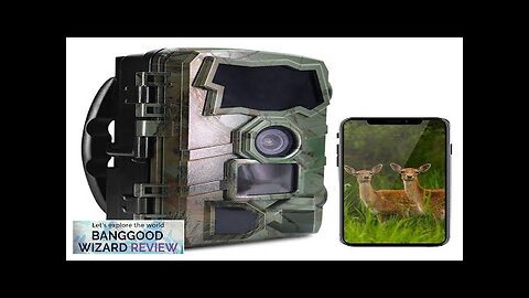 HC888 WIFI Wildlife Trail Hunting Camera 32MP Pixels 4K HD Video Recording Review