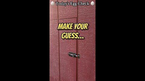 Today’s #EggCheck!