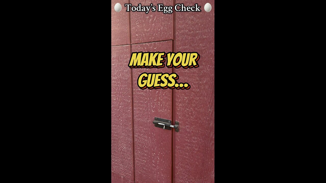 Today’s #EggCheck!