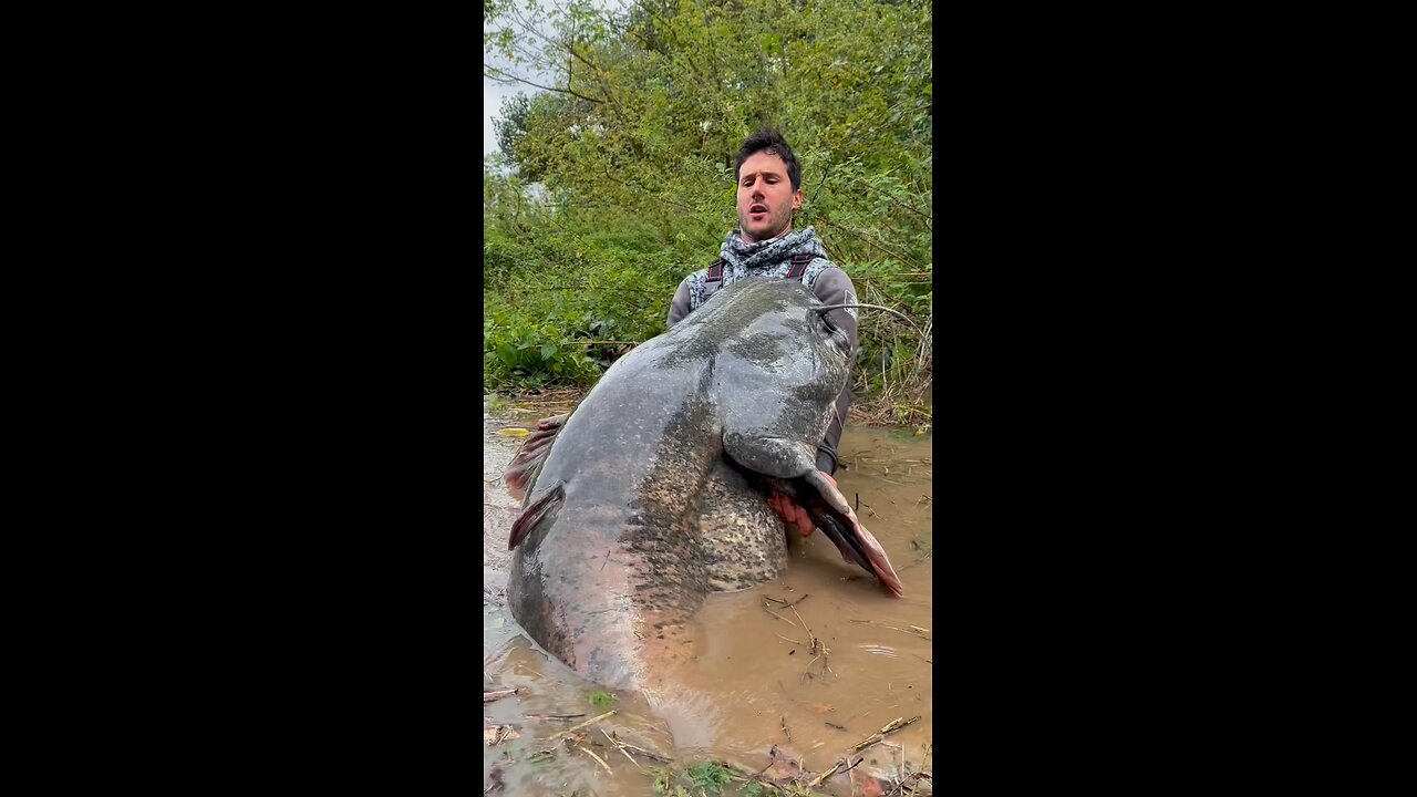 i catch monster fish😳!