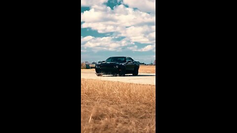 Car lovers shorts video