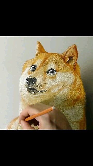 Drawing Realistic ✍️