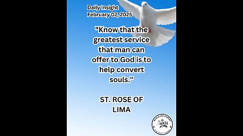 Daily Insight February 02, 2025