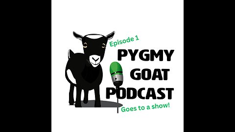 Pygmy Goat Podcast - Episode 1