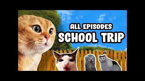 SCHOOL TRIP CAT MEME COMPILATION...