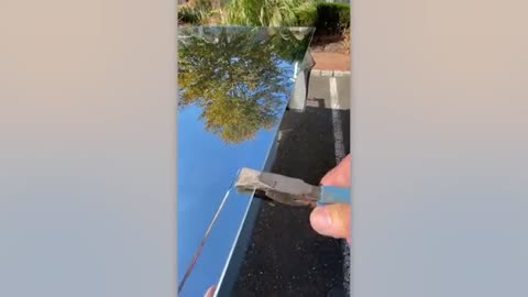 Satisfying Videos of Workers Doing Their Job Perfectly