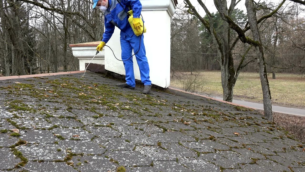 Langley Roof Cleaning - www.lilsquirtpowerwashing.com