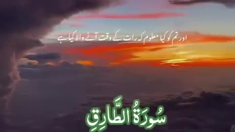 Beshak 💯♥️✨🕊️