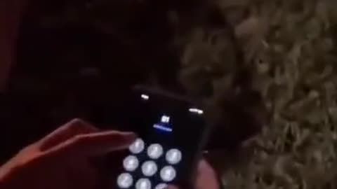 He was ready for anything