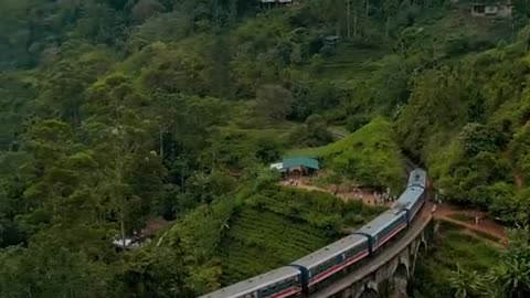 Visit Sri Lanka