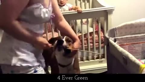 Recceboot~ Annimal Rescue Humans