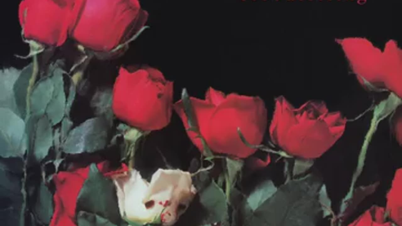 Days & Days Concrete Blonde Johnette Napolitano