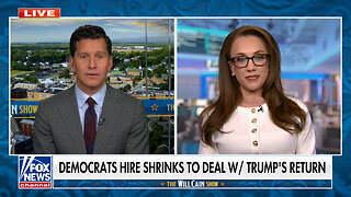 Kat Timpf: Democrats Need To Work With Republicans