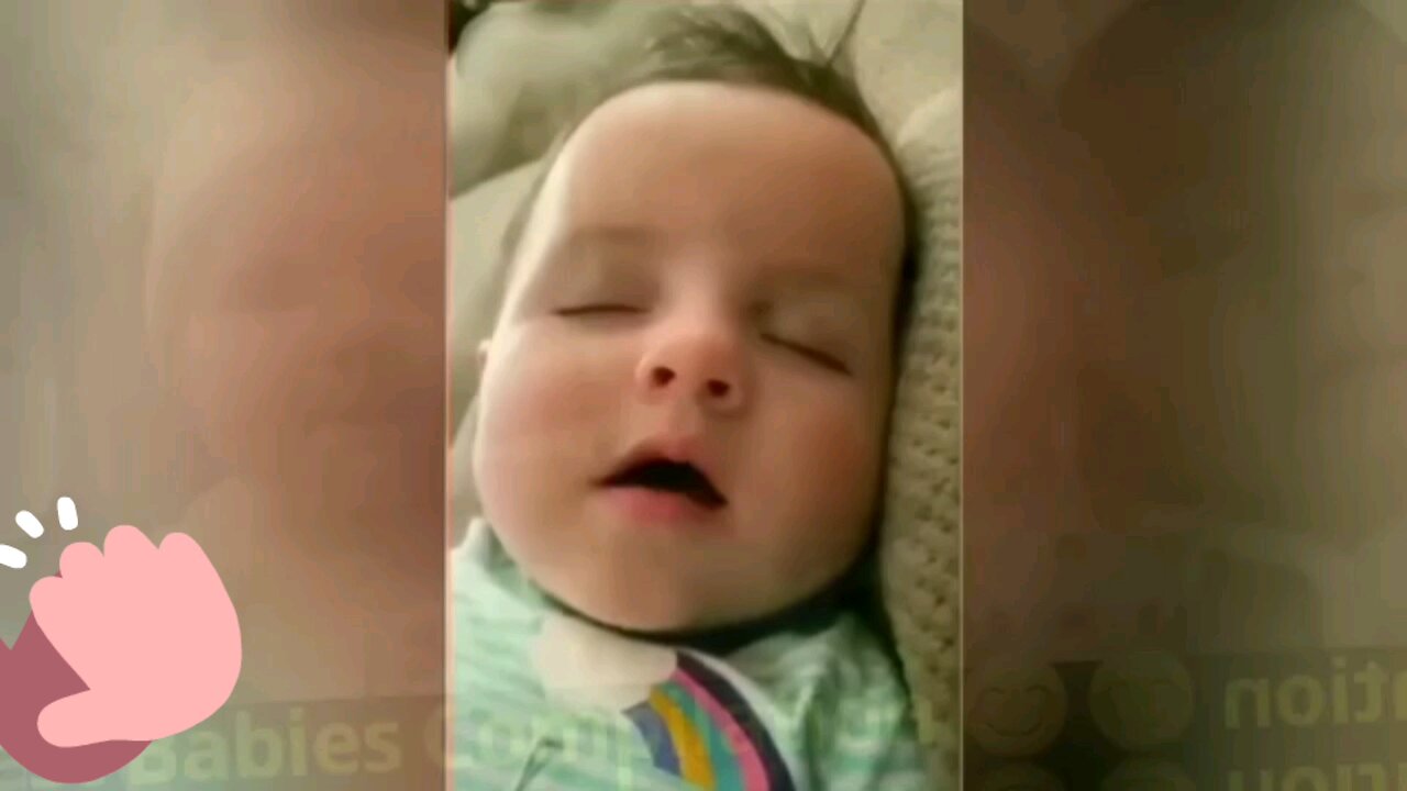 funny videos