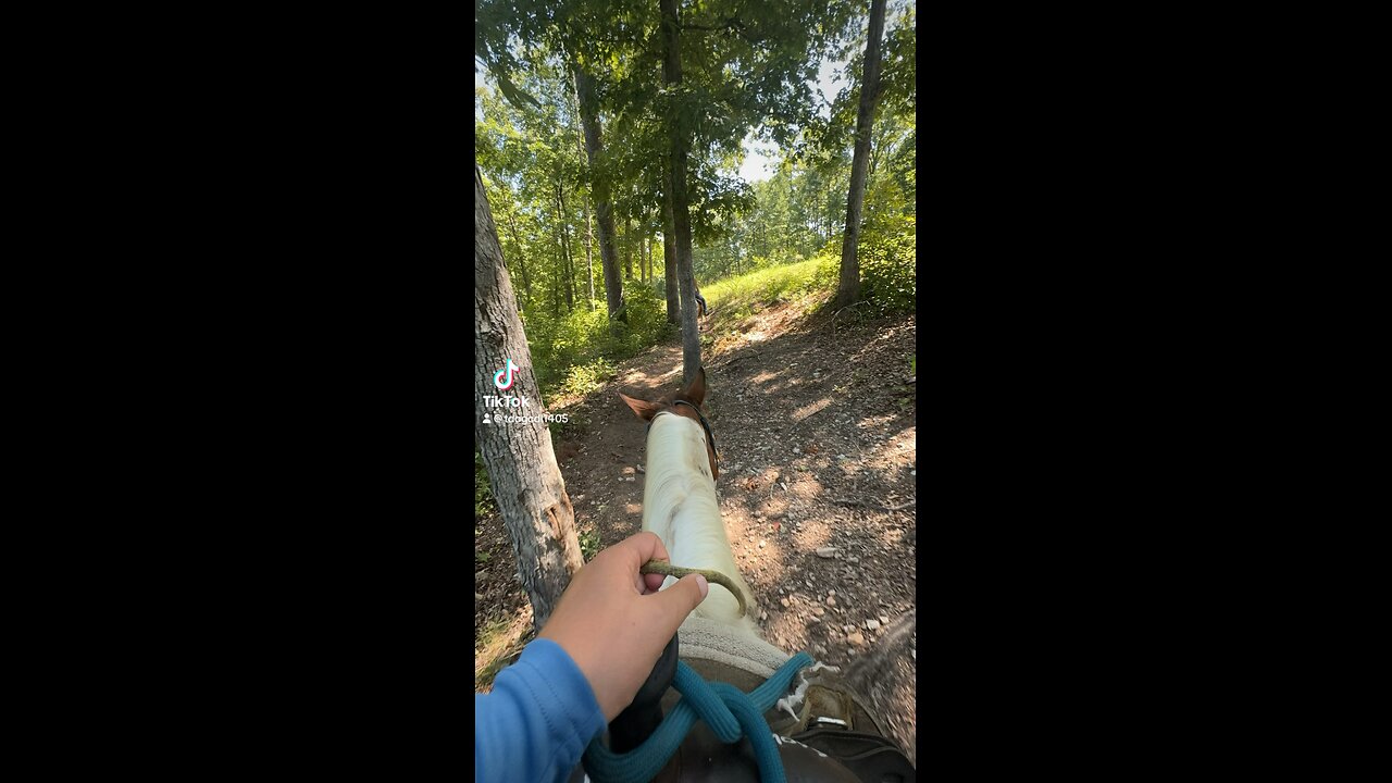 In The Saddle Discovering Arkansas Sonic Trails