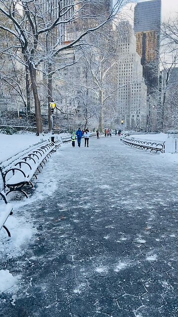 Walking by the snow on Central Park