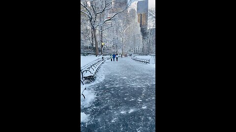 Walking by the snow on Central Park