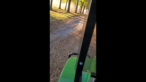 mulching leaves