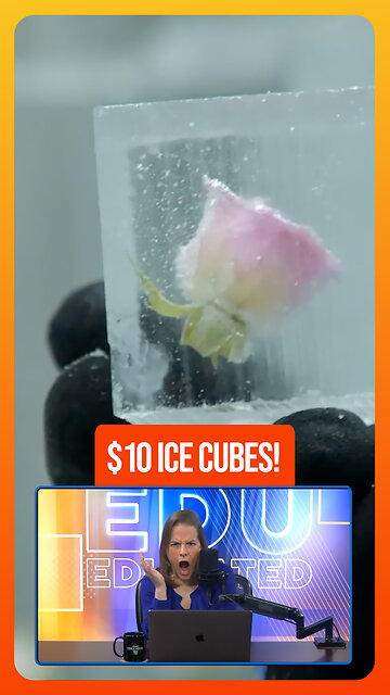 🧊Fancy Ice Cubes Cost $10 A Piece