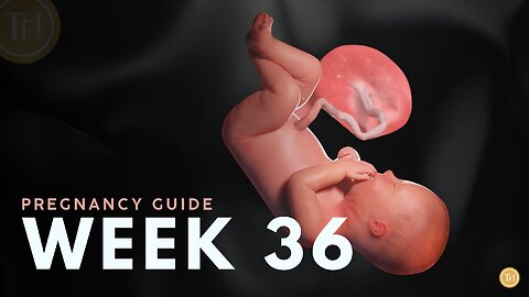 What to Expect at Week 36 | Week by Week Pregnancy Guide