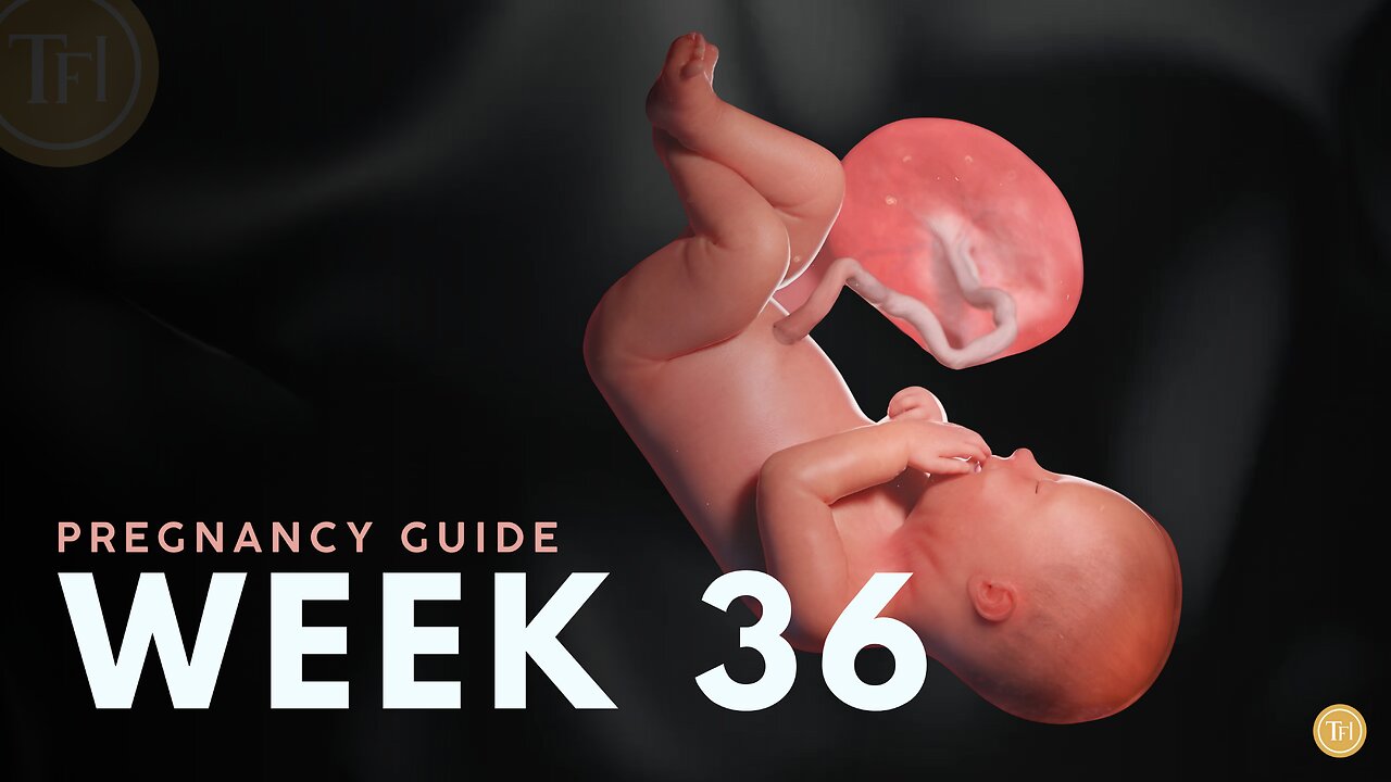 What to Expect at Week 36 | Week by Week Pregnancy Guide