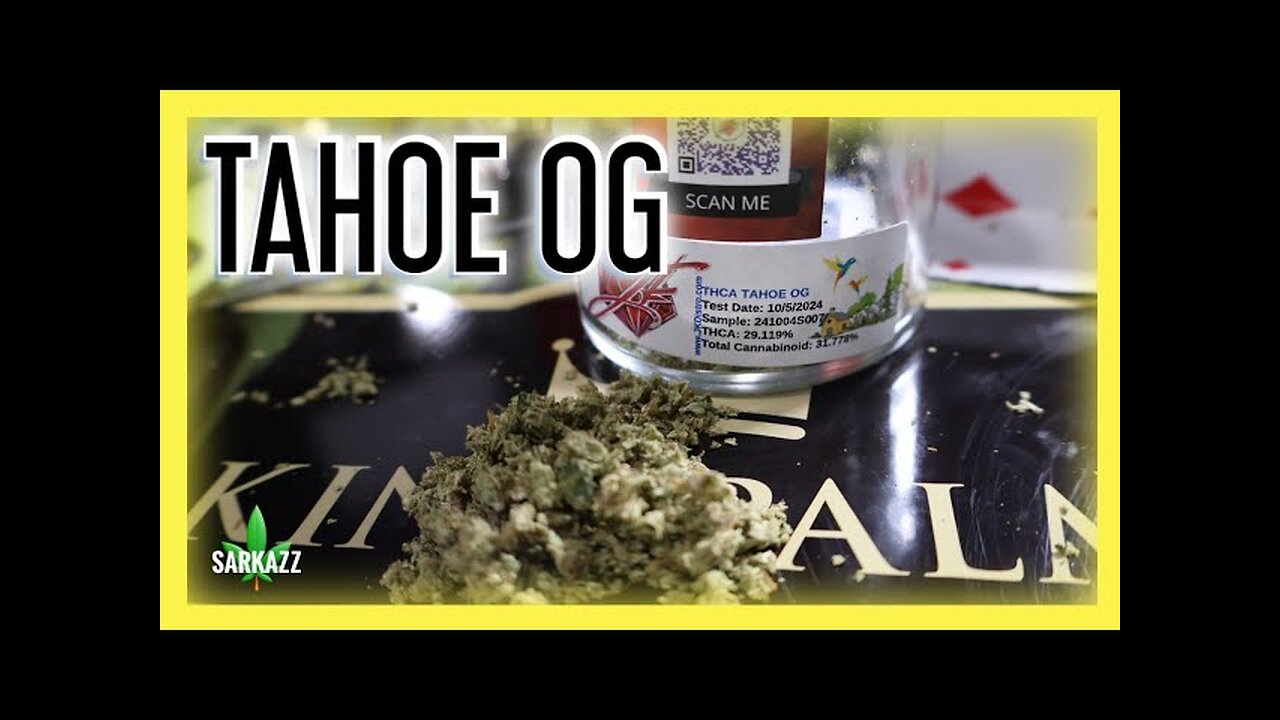 King Palm x Tahoe OG THCA Flower Review 🌿🔥 | Exclusive Collaboration from JK Distro