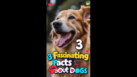 🐶 3 Mind-Blowing Dog Facts You NEED to Know! � #3 Will Shock You! 🚀