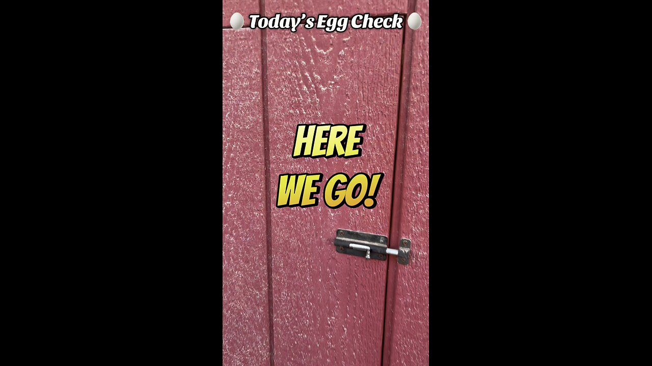 🥚 Saturday’s Egg Check! 🥚