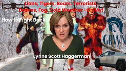 Lions, Tigers, Bears, Terrorists, Drones, Fog, Cold Weather - Oh My!