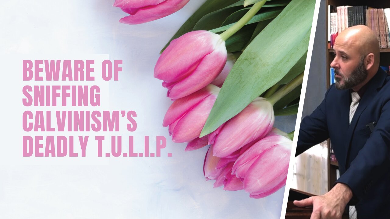 BEWARE OF SNIFFING CALVINISM'S DEADLY T.U.L.I.P.