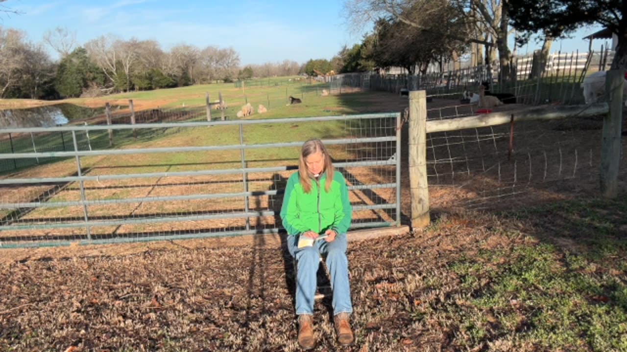 Morning Prayer, Daily Office