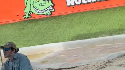 Alligator Show part 2