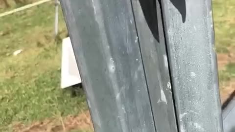 Woman Rescues Kookaburra Bird with Head Stuck in Fence