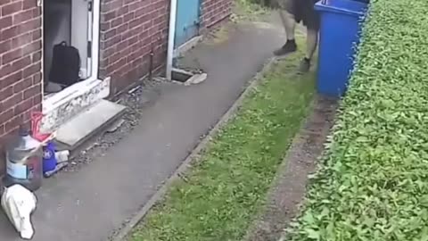 Most ridiculous and incredible videos
