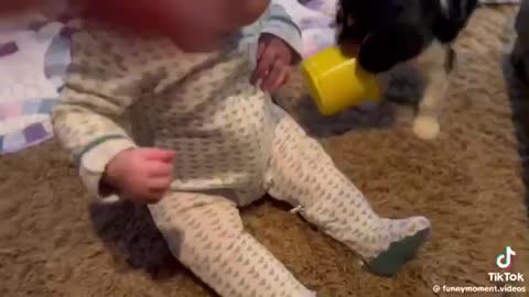 Baby funny videos 01