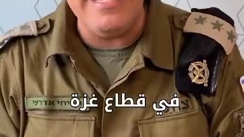 شيخ شيوخ السلطان