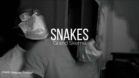 SNAKES (PROD. Vintageman Produkcja)