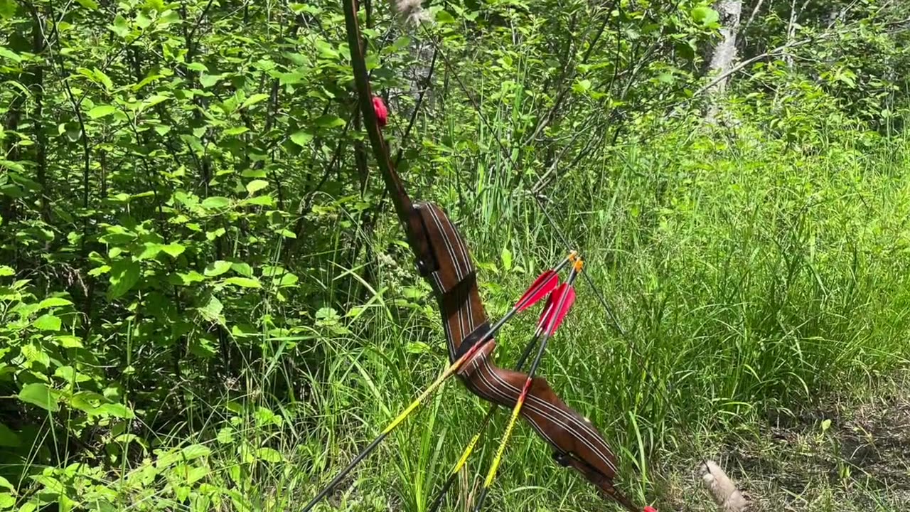 Border Archery Trad - 19" ILF + HEX 6