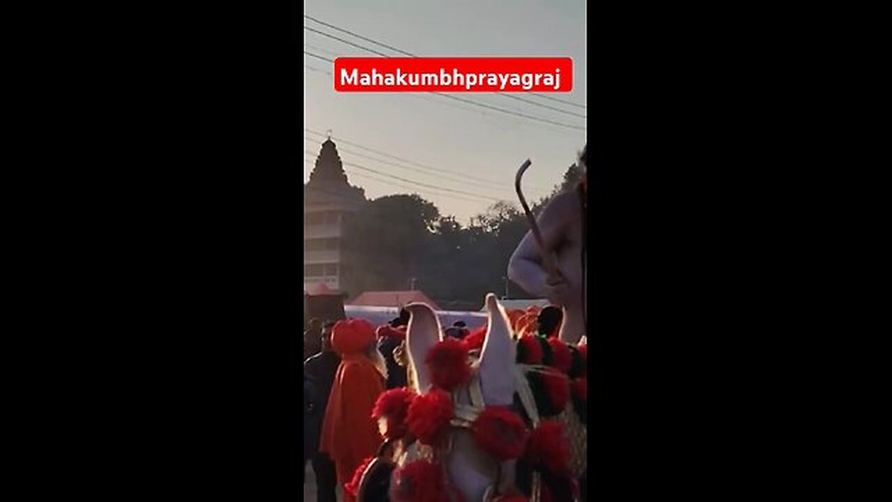 Mahakumbhprayagraj se Live #prayagrajkumbh #mahakumbh2025 #mahakumbh #mahakumbh