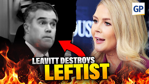 Press Secretary Karoline Leavitt DESTROYS Woke Journalist | Elijah Schaffer