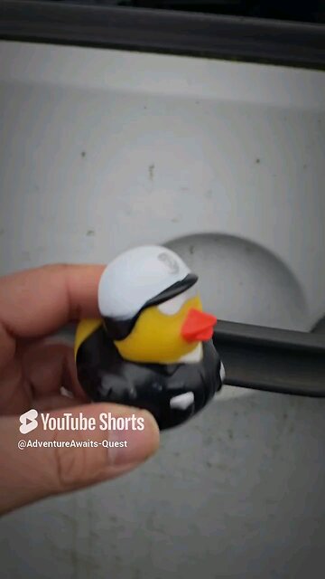 Ducked Straight off the Trail ||Thank You!