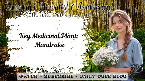Key Medicinal Plant: Mandrake