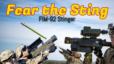 "FIM-92 Stinger Missile - A Game Changer" #stinger #history #weapons #weaponhistory