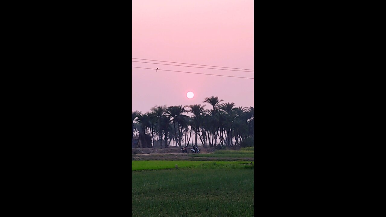 Rural Dreams: Walking Through Nature’s Canvas 🎨🌾 #short #shorts #reels #viral #trending #vlog