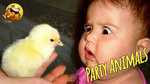 Try Not To Laugh FUNNY BABIES AND PETS VIDEOS COMPILATION 2025 , Funny Video