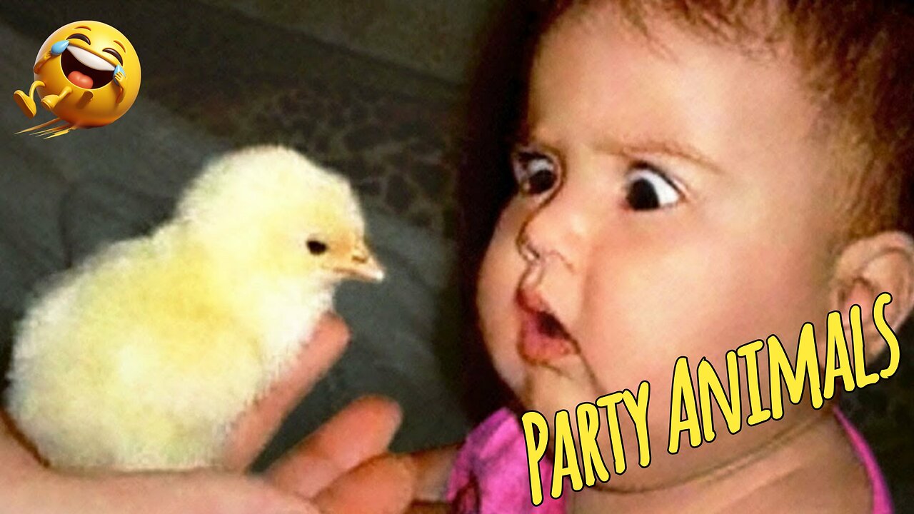 Try Not To Laugh FUNNY BABIES AND PETS VIDEOS COMPILATION 2025 , Funny Video