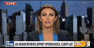 Alina Habba on Epstein Documents Release