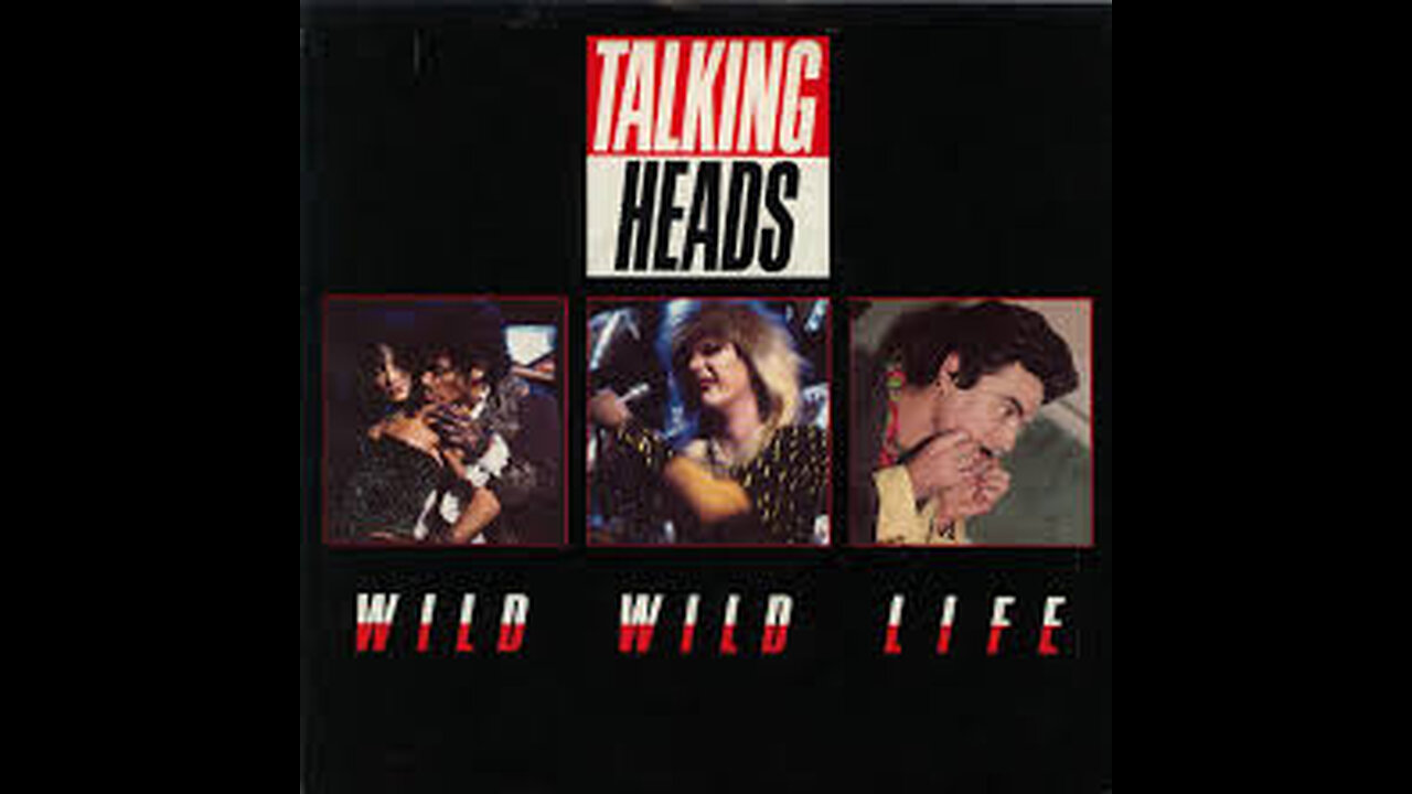 Talking Heads - Wild Wild Life