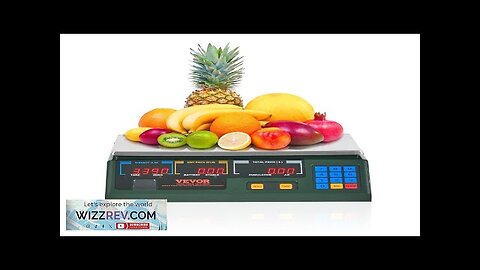 VEVOR Electronic Price Computing Scale 66 LB Digital Deli Weight Scales LED Review