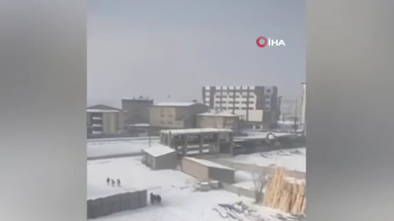 Yüksekova'da başıboş köpeklerin öğrencilere saldırı anı böyle görüntülendi